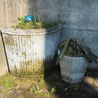 Vasi in cemento da giardino