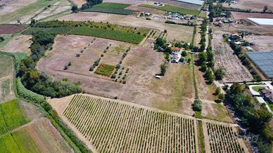 Terreno agricolo di 6,3 HA fronte strada con pozzo