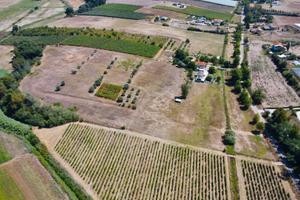 Terreno agricolo di 6,3 HA fronte strada con pozzo
