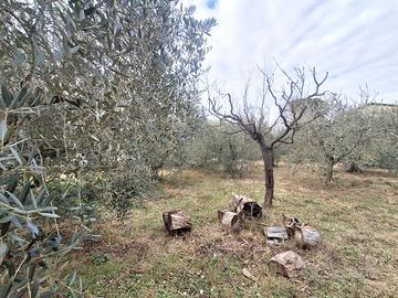 Terreno edificabile Casa del Diavolo PT/138