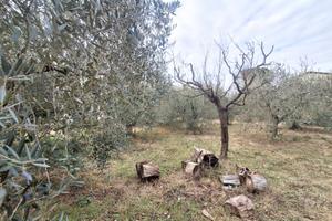 Terreno edificabile Casa del Diavolo PT/138