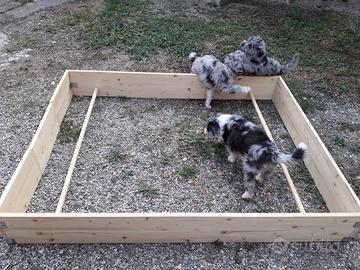 Cuccia parto per cani in abete recinto tartarughe