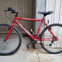 BICI MOUNTAIN BIKE VINTAGE