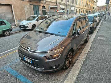 c4 picasso 7 posti 