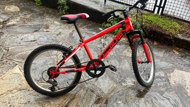 bicicletta mountain bike sentiero 20” bambino