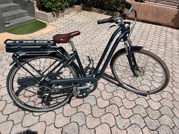 Bici elettrica da donna