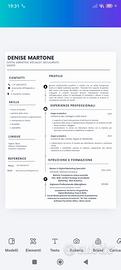 Commessa, segretaria, amministratore