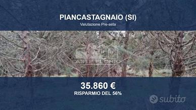 Immobile in asta di 333270 m² a Piancastagnaio