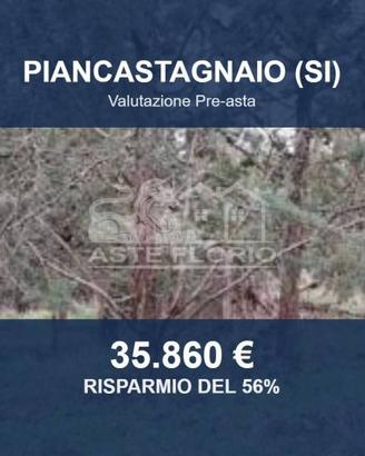 Immobile in asta di 333270 m² a Piancastagnaio