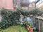 Immagine 21