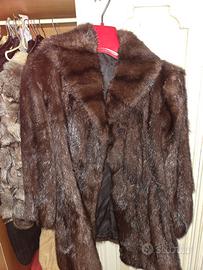 Pelliccia marrone di rat mosque