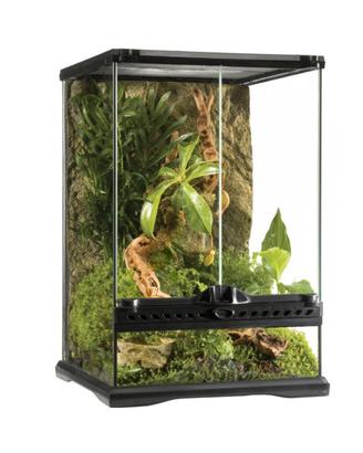 Terrario Exo Terra Glass Terrarium 30x30x45