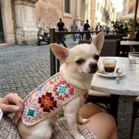 Vestitino per cani, accessori chihuahua, handmade 