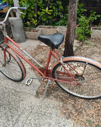 bicicletta donna