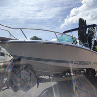 Sea hawk 19 piedi