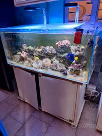 acquario marino 