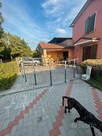 Piscina intex rotonda