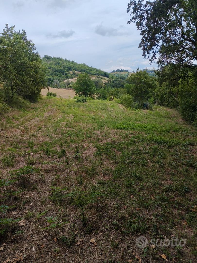 Terreno agricolo - Vista 5