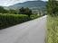 Immagine 6