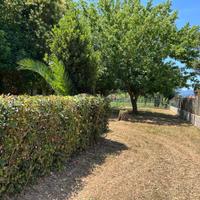 Terreno edificabile al Circeo