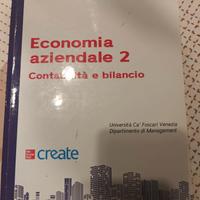 libro economia aziendale 2 contabilità e bilancio