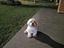 Immagine 5
