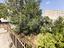 Immagine 29