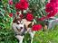 Immagine 1