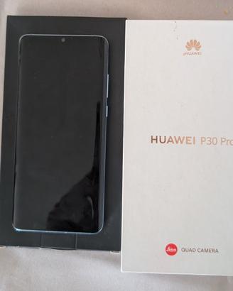 Huawei P30 Pro con Cover originale per immersioni 