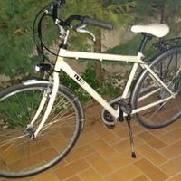 City bike Nuzzi uomo