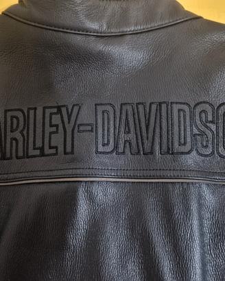 Giacca pelle Harley-Davidson 