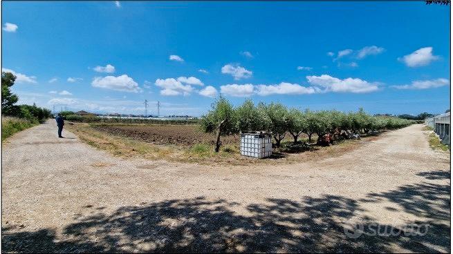 Tribunale di Salerno - RG 280/2024 Terreno in asta - Vista 5