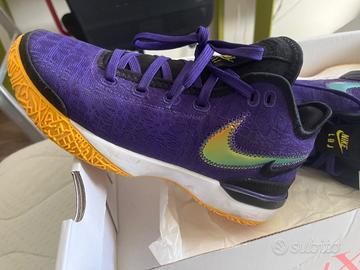 Nike zoom lebron next gen ep
