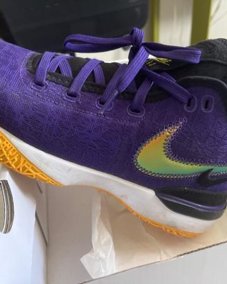 Nike zoom lebron next gen ep