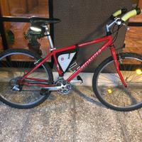 Bicicletta Mtb rossa