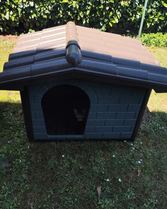 Cuccia cane XXL/ doppia