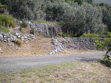 Terreno collinare in località Maranola - Formia