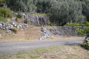 Terreno collinare in località Maranola - Formia