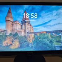 Schermo Philips 223v5