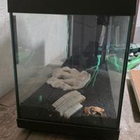  Acquario L 80 x H 46 x P 30