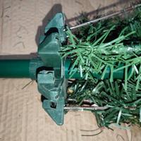 albero di natale pino silano