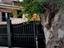 Immagine 12