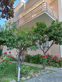 GIUGNO--LUGLIO--SETTEMBRE in CENTRO