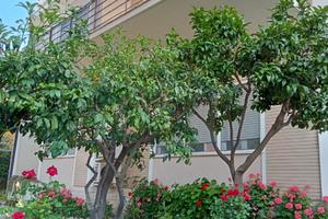 GIUGNO--LUGLIO--SETTEMBRE in CENTRO