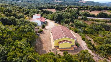 Aglientu 7 ha con 2 case indipendenti