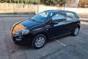 Fiat Punto 1.2 Benzina 8V 5 porte Lounge