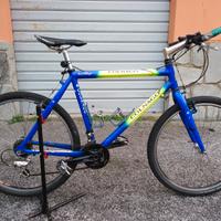 Bici mountain bike Colnago 