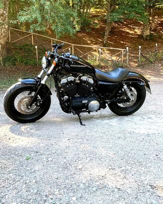 Harley-davidson 1200 Sportster Forty-Eight