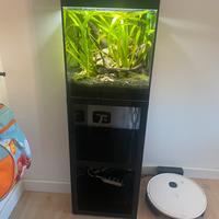 Acquario Askoll Pure M