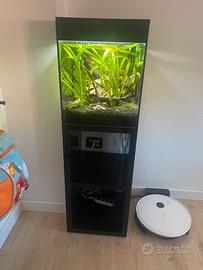 Acquario Askoll Pure M